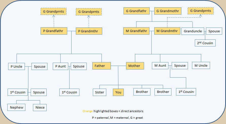 What Is Genealogy?