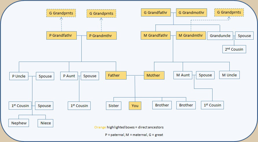 Generations Genealogy log book: Track and Record Your Research Into Your  Family History Ancestry Tree Organizer, Family Pedigree Chart, Genealogy